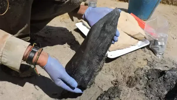 476,000-Year-Old Wooden Structure in Zambia Rewrites Early Human History