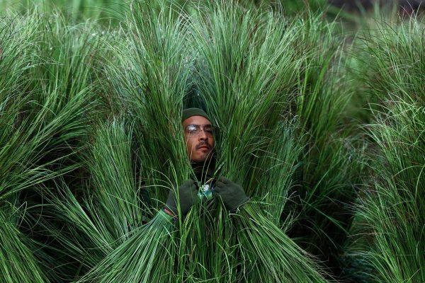 Bad Bunny's stage bushes lead 2026 Halloween costume trends