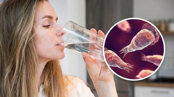 Brain-eating amoeba: why nasal water entry is the real risk