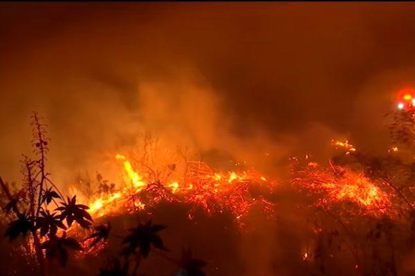 Brentwood brush fire contained as Santa Ana winds threaten Los Angeles