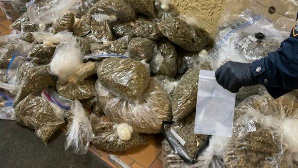 Bronx eviction uncovers hidden cannabis grow op behind months of strange odors