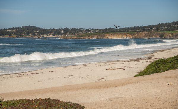 California Beaches Face Bacteria Crisis as Heal the Bay Report Flags Pollution Hotspots