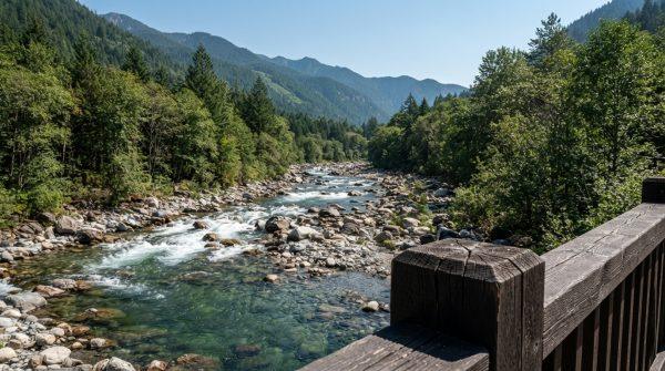 California's Scott River runs dry during salmon run, sparking water war