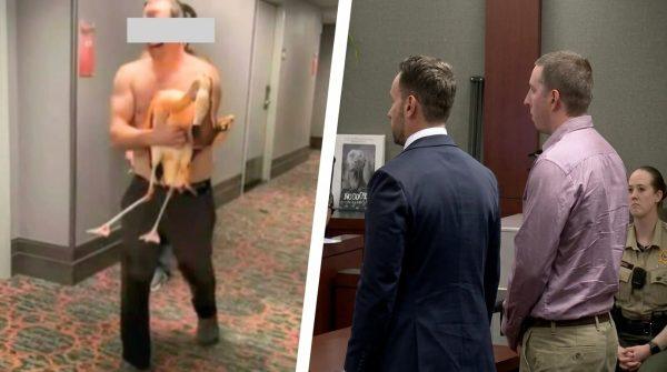 Canadian tourist convicted for stealing flamingo from Las Vegas casino