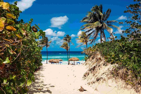 Caribbean on a Budget: Local Stays, Street Food, and Free Beaches