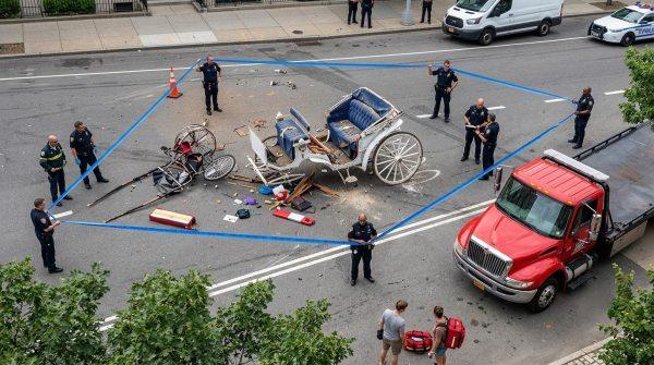 Central Park Carriage Rides Halted After Fatal Accident Sparks Ban Debate