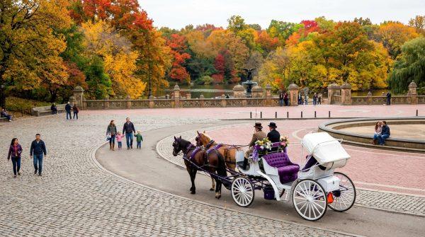Central Park's horse carriages face a final farewell by 2028