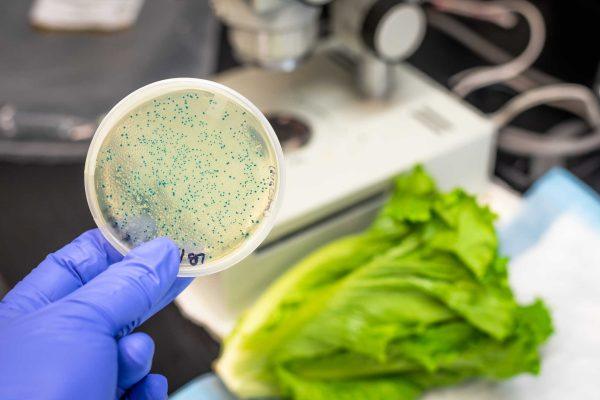 Cyclospora outbreak claims first US deaths in Michigan