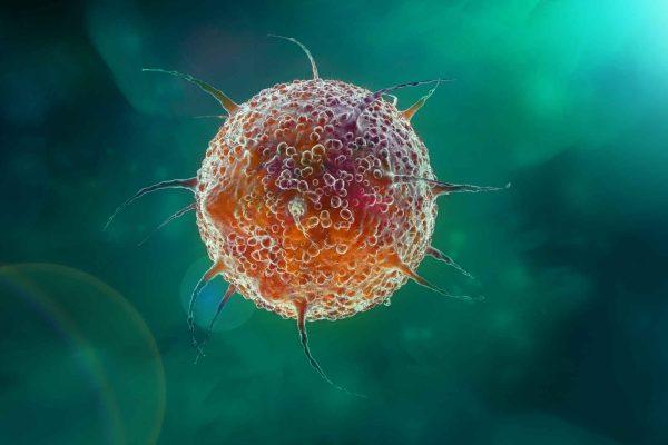 Cyclospora Outbreak in 17 States: CDC Investigates Contaminated Produce