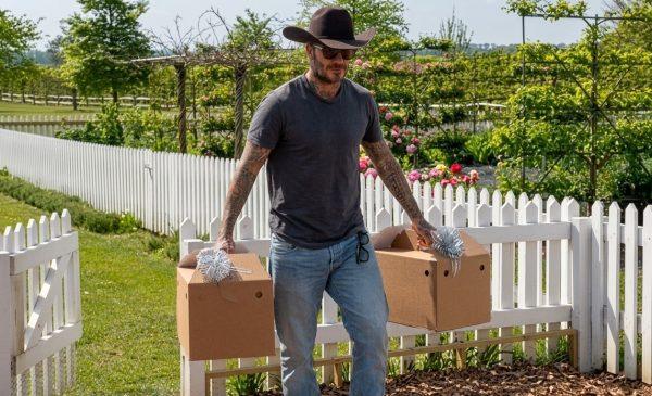 David Beckham's Cotswolds Mansion Gets a Luxury Chicken Coop Fit for a 'Peking Palace'