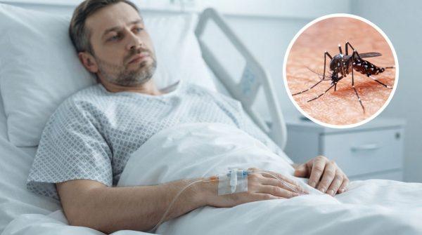 Dengue in Florida: How to Spot Hidden Mosquito Breeding Spots at Home
