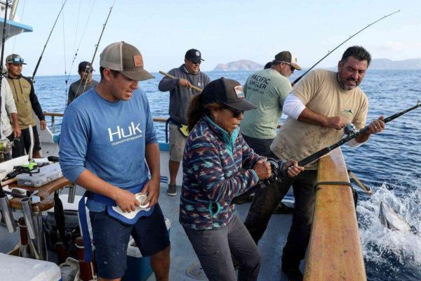 El Niño Brings Rare Tropical Fish to California's Coast