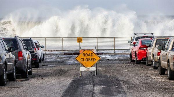 El Niño's Coastal Defenses in California Bring Hidden Ecological Costs