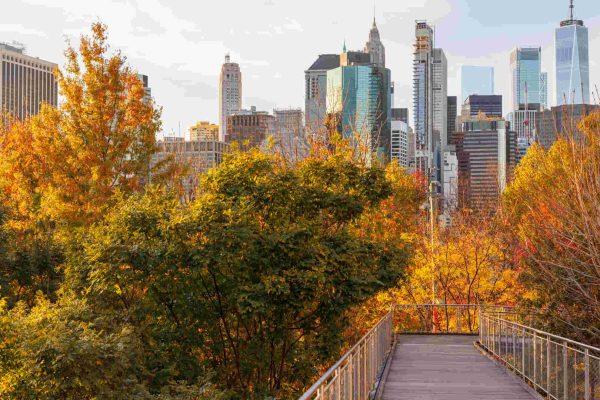 Fall staycations in NYC: AARP's guide to enjoying the city on a budget