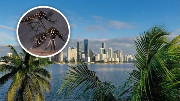 Florida dengue outbreak triggers health alerts in three counties