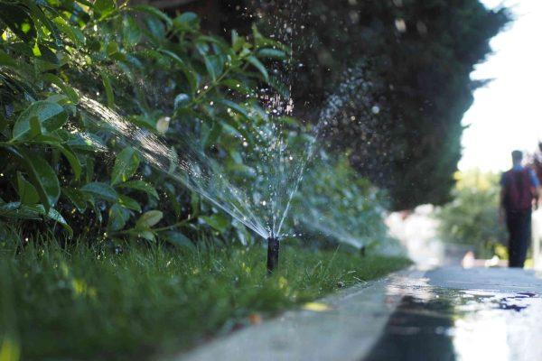 Florida lawn watering mistake could lead to costly slip-and-fall lawsuits