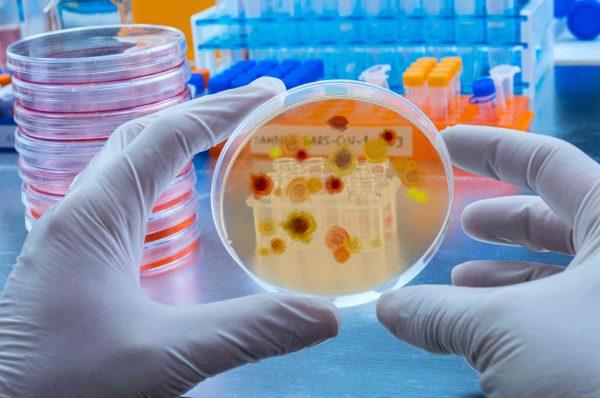 Florida reports fifth Vibrio vulnificus death this year, health officials urge caution