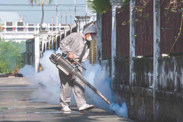 Florida's dengue outbreak triggers emergency in three counties