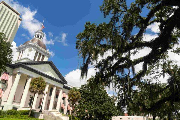 Florida's October 2025 laws reshape driving, renting, and pet care
