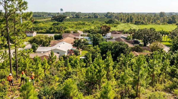 Florida's rapid growth is eating away at its forests and farmland