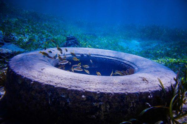 Florida's tire reef experiment backfired, leaving a 50-year cleanup
