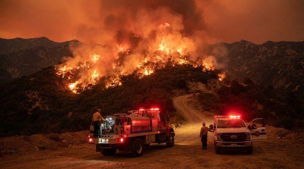 Los Angeles wildfire report reveals gaps in recovery planning