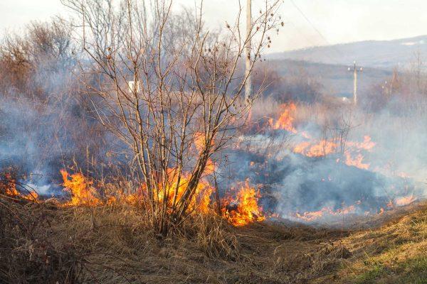 Malibu wildfire spreads as Santa Ana winds threaten California coast