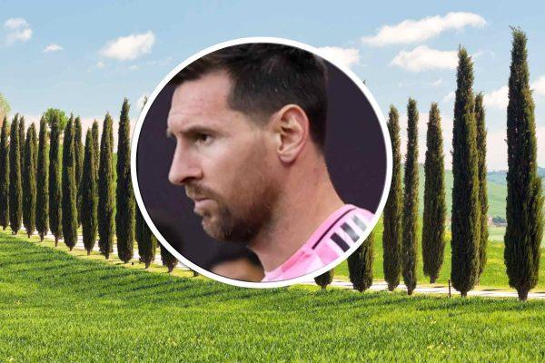 Messi's Living Fence: How Poplars Are Redefining Luxury Poolside Privacy