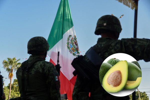 Mexico sends 1,500 troops to Michoacán to protect avocado exports from cartel threats