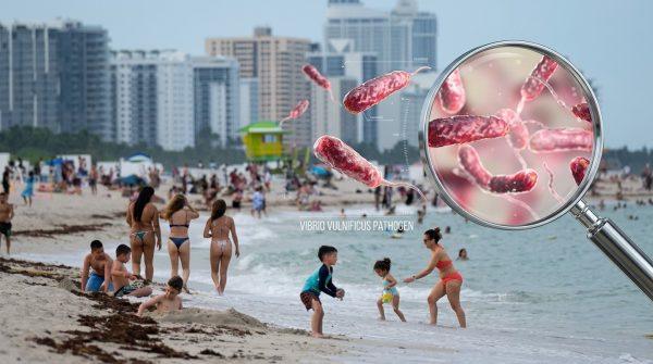 Miami-Dade Issues Bacteria Warning for Three Beaches: What Swimmers Need to Know
