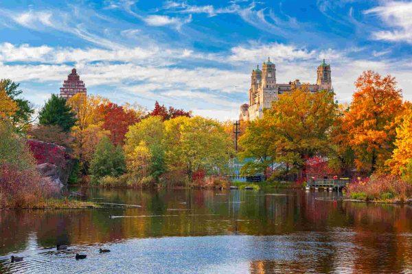 New York's 2026 fall foliage peaks on November 1, experts say
