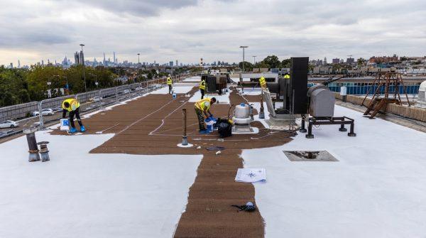 NYC offers free cool roofs to beat summer heat and cut energy bills