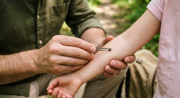 Rare Tick-Borne Bacteria Found in New York, Previously Limited to Midwest