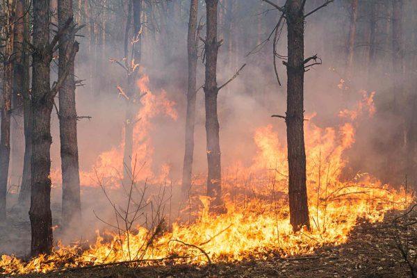 Ross Fire in North Texas surpasses 90,000 acres as crews battle heat and wind