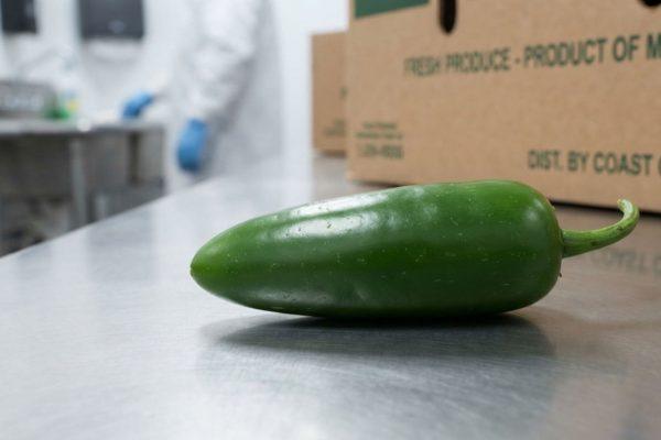 Salmonella outbreak linked to Mexican jalapeños sickens 431 across 32 states