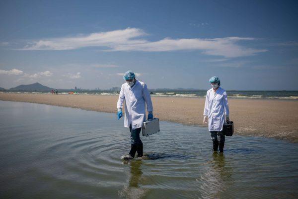 Texas red tide triggers health alerts on Galveston and Bolivar beaches