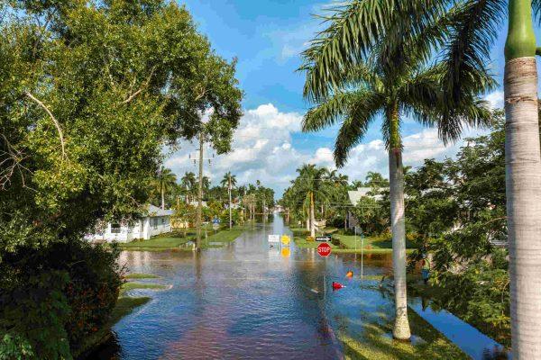 Tropical Storm Isaias Gains Strength, Gulf Coast Prepares for Landfall