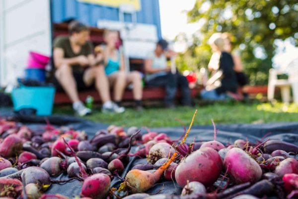 Washington farm feeds immigrant families hiding from ICE